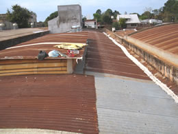 Plastimi 1